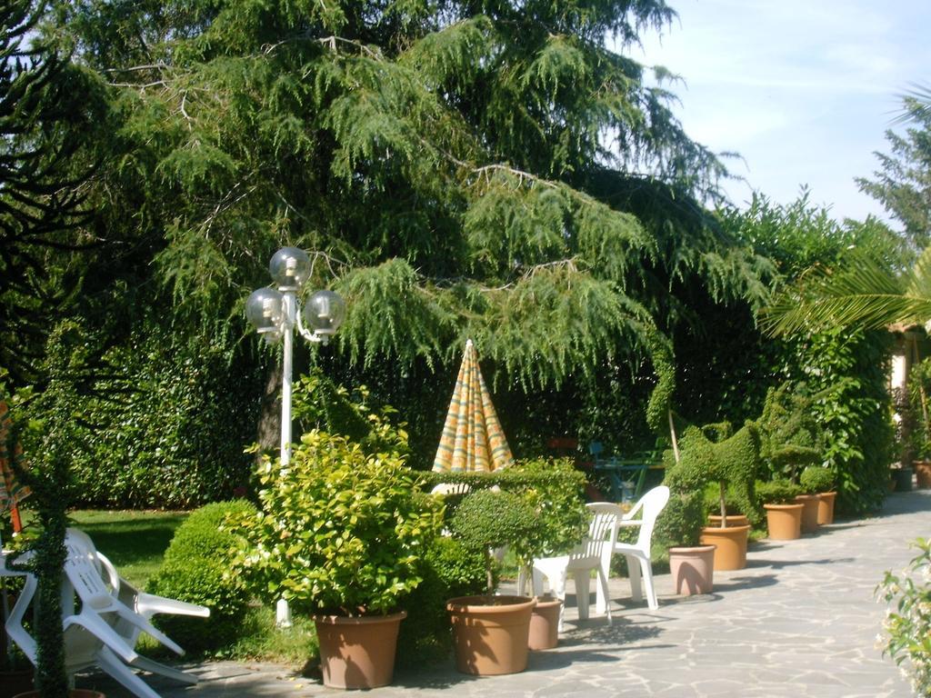 Forum Cassii Vetralla Extérieur photo